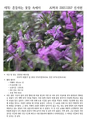 SeohyunShin20211357AI-1.jpg